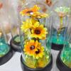 Sunflower Night Light Eternal Flower Glass Cover Lamp Shade Eternal Rose Led Light Foil Flower Creative Desktop Decor