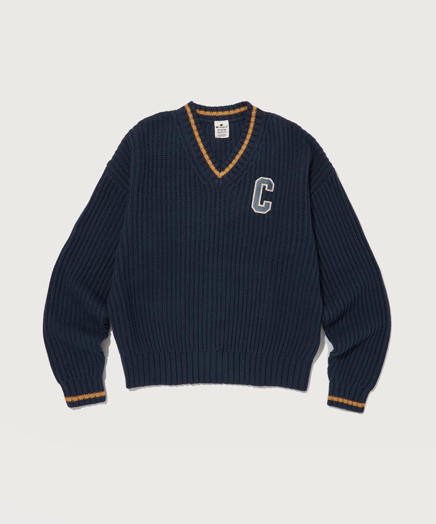 CHAMPION Washable V-Neck Sweater Normal Navy
