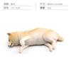 Simulated Animal 8 Pet Dog Toys Golden Retriever Labrador Husky Shiba Bullfighting White Poodle