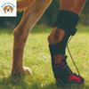 Dog Shoes Protection Puppy Boots Injured Dog Joint Fixation Dirty Proof Anti Drop Wear Resistant Hard Sole Breathable Foot