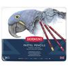 Crayons Pastels - Derwent - Set de 24 - Qualité Professionnelle - Teintes Douces - Aquarellables