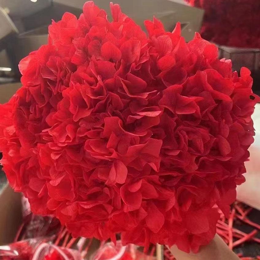 Multi-Color Preserved Bigleaf Hydrangea Single Stem Flower Bouquet for Home Decoration