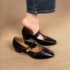 With Skirt French Single Shoes Fairy Fairy Wind Gentle Shoes Autumn 2025 New Fashion Versatile Mary Jane Small Leather Shoes