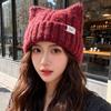 Korean Style Cat Ear Woolen Hat for Women Winter New Warm Ear Protection Knitted Hat Showing Face Little Cute Pullover Hat