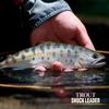 VARIVAS Trout Shock Leader Флюорокарбон 30м 3 Нет. (12 фунтов.более)
