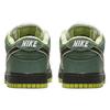 Concepts X Nike SB Dunk Low "Зеленый Лобстер" BV1310-337