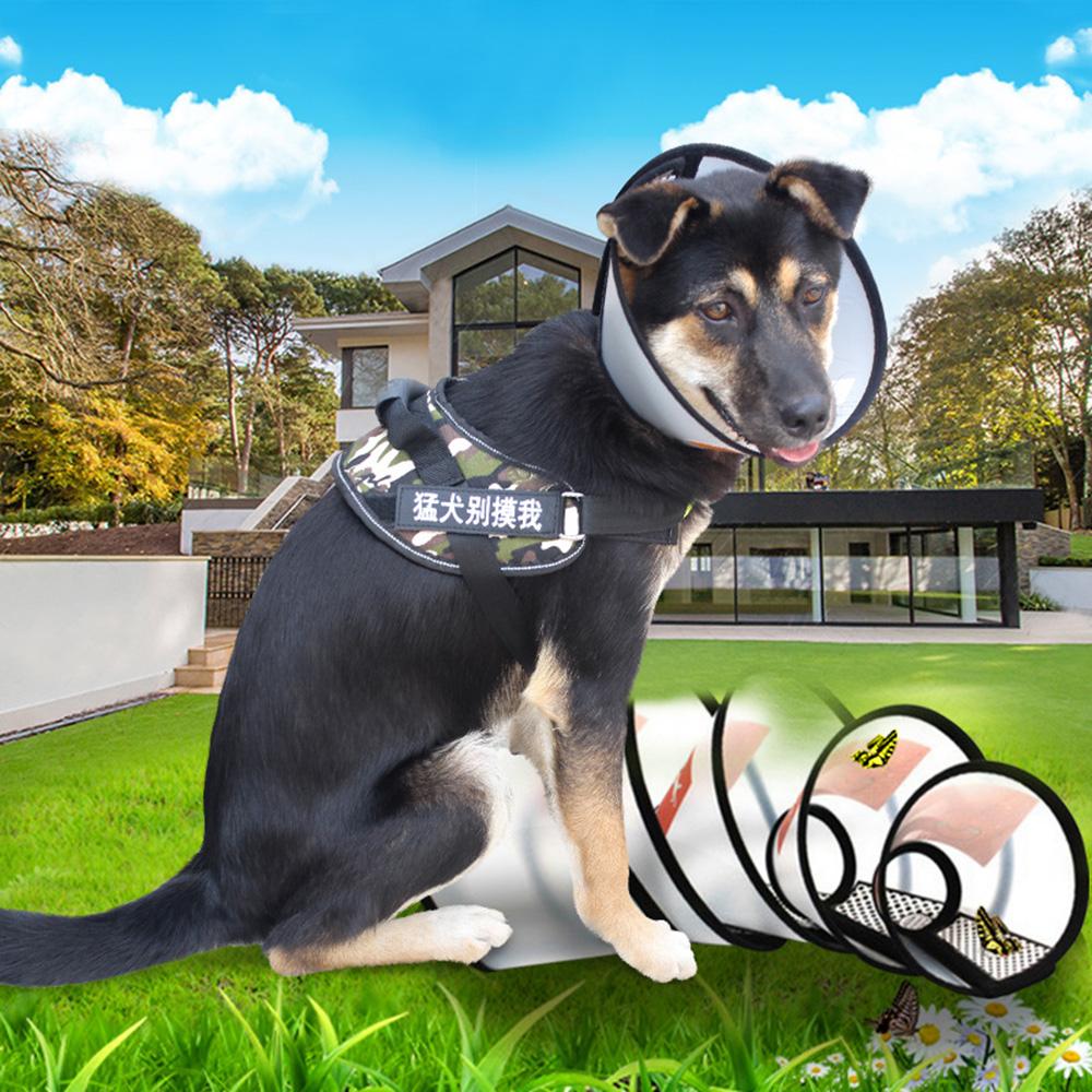 Transparent Protective Collar Anti-Bite Circle Dog Neck Recovery Puppy Pet Cone Collar