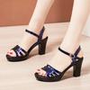 Модные летние женские сандалии Водонепроницаемая платформа 8/10 см Супер высокий каблук Сандалии с открытым носком Римская обувь Офисные туфли-лодочки Размер 32-43