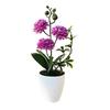 Home Decor Accent Small Chrysanthemum Realistic Design No Water Needed No Sunlight Required Year-Round Fresh Look