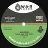 7inch Record BUSHMAN / CHRISTOS DC - These Are The Days / Self Evident WAR04 War 2019 Germany Reggae, Ska & Dub