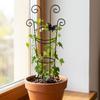 Butterfly Shaped Plant Climbing Trellis Strong Load Bearing Vine Climbing Rack  Potted Plants