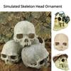 Non Toxic Resin Skull Ornament Skull Design Fish Tank Landscape Aquarium Decorative  Fish Tank