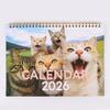 Новая коллекция настенных календарей 2026: Декор на скрепках и подвесное украшение