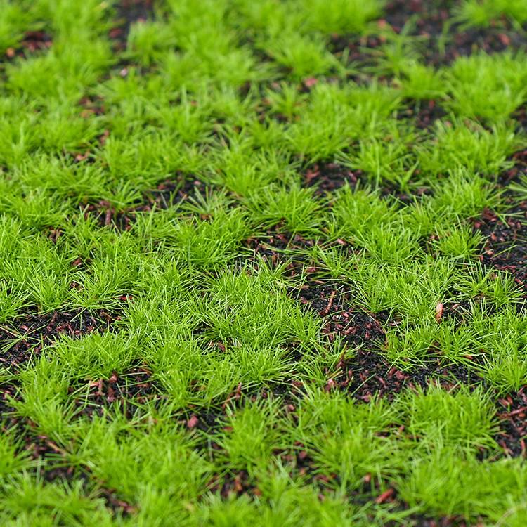 Artificial Green Moss Wall for Micro Landscape and Bonsai Decor