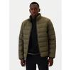 Gap Down Jacket 498571-01 Green Regular Fit