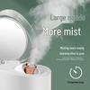 MKS Nano Hot & Cold Dual Spray Facial Steamer CN plug (adapter included)