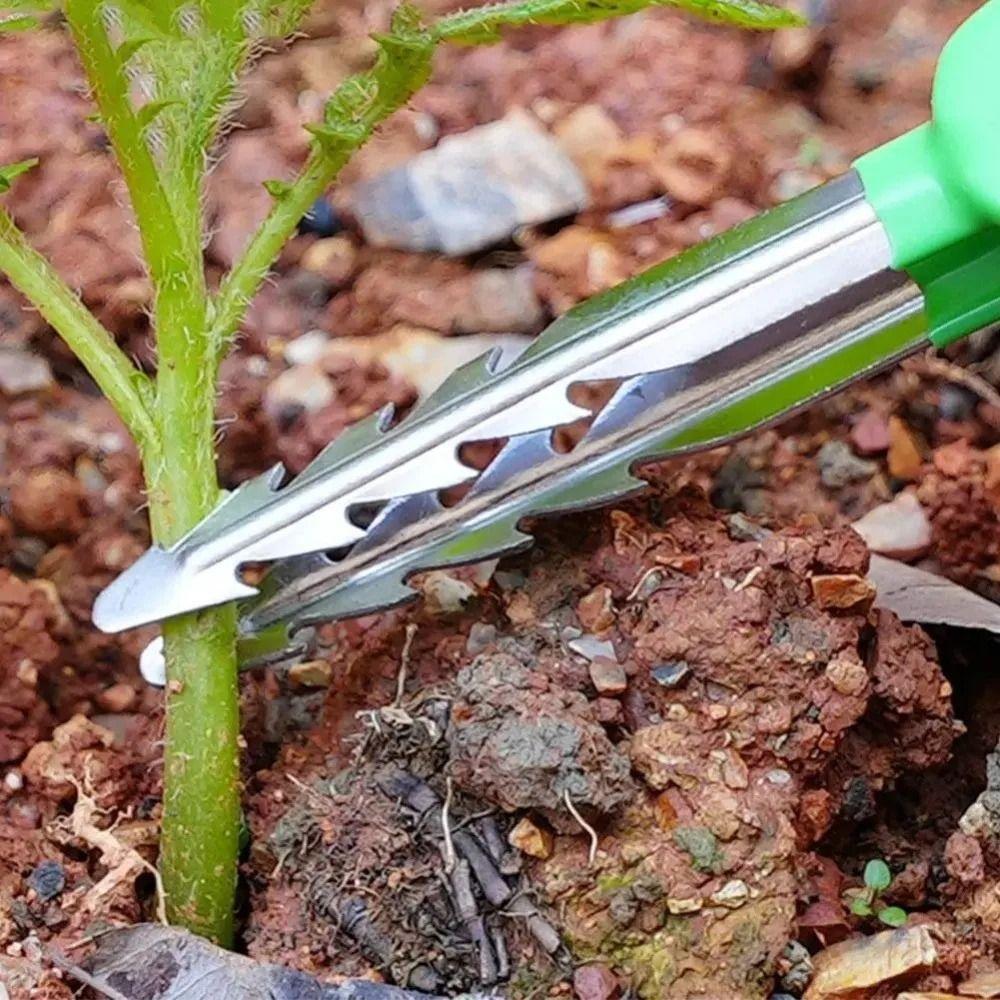 Multifunctional Gardening Tweezers Stainless Steel Plant Care Clip Weeding Tool Small Nursery