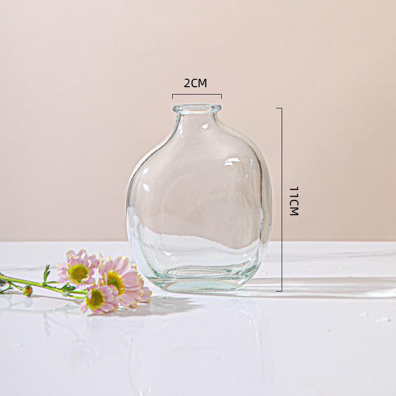 Irregular Glass Vase for Hydroponic Plants - Small Decorative Holder for Living Room Flower Arrangements