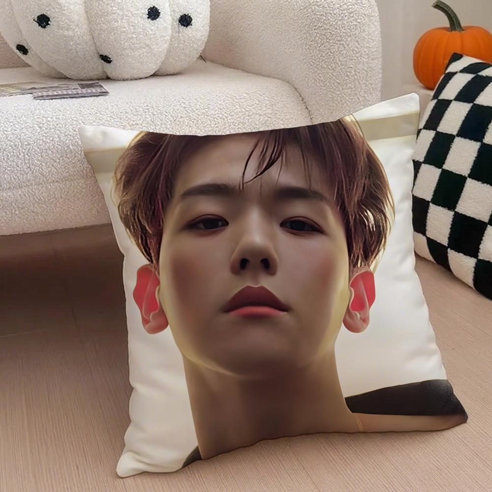singer charming BBaekhyun Cushion Cover Throw Pillow Cover Hidden Button Durable Polyester Chair Cushion