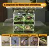 Bymaocar 4-grid Clear Acrylic Reptile Terrariums Climbing Pet Reptile Cage Non-toxic Odorless W/ Thermometer For Laboratory/home