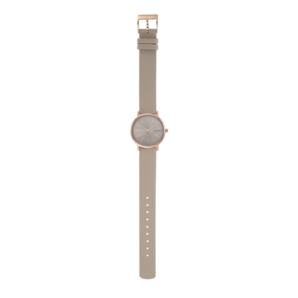 SIGNATUR LILLE SKW3060 Серый [Skagen] Женские часы,