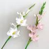 Artificial Gladiolus Flowers 22" Real Touch Flower with Long Stem 4 Full Blooms