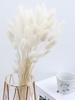 109 шт. Натуральные помпы, сушеные цветы, букет из пампасной травы с хвостиками кролика для домашнего декора в стиле бохо, свадебная цветочная композиция, деревенская вечеринка в фермерском доме