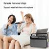 Philips SD560 Portable KTV Bluetooth Speaker