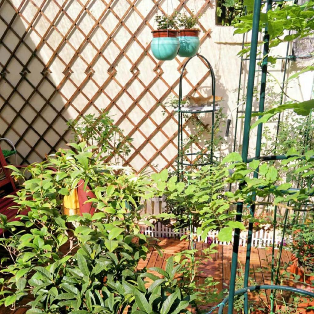 Деревянная решетка, расширяемая настенная отделка, восхождение на воздушные растения, опора для растений, решетка, вертикальная стойка, подвесная рама, забор, садовые принадлежности