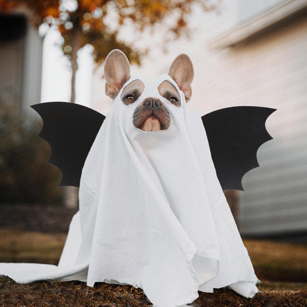 29x47 дюймов Хэллоуин страшная собака косплей одеваются жуткие декоративные принадлежности для животных накидки головные уборы костюм для трансформации питомца