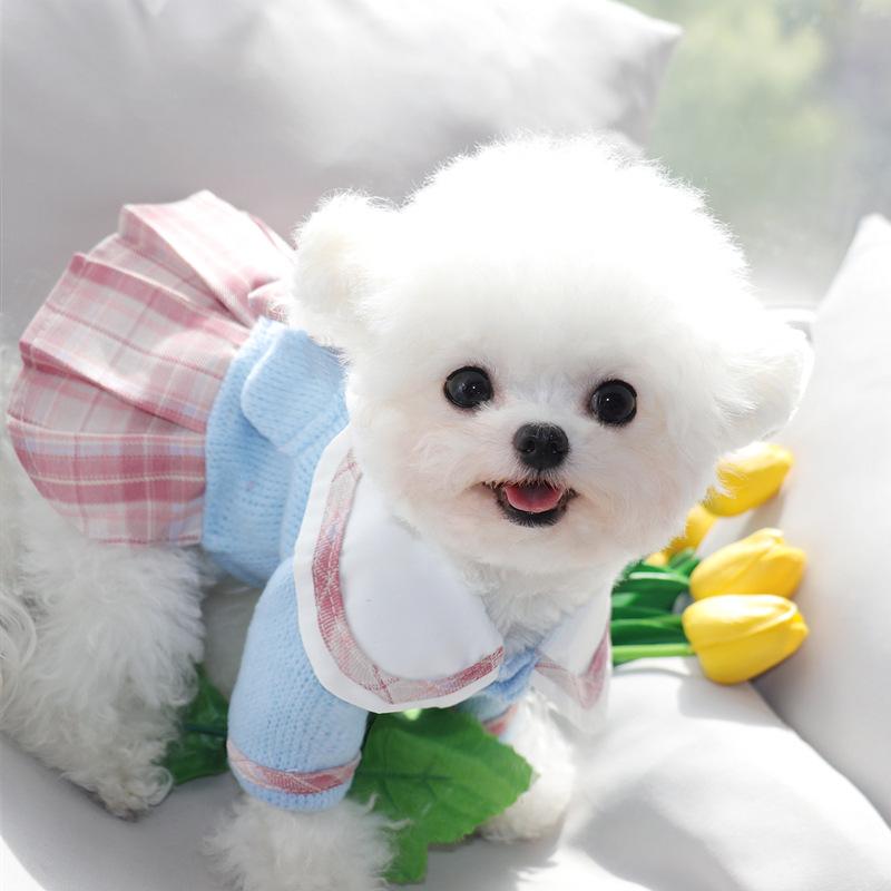 Princess Skirt Puppy Clothes Spring And Autumn Teddy Bichon Pomeranian Schnauzer Small Puppy Pet Autumn And Winter