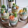 6/9pcs Home Decoration DIY Supplies DIY Fragrant Gypsum Expanded Stone Candle Succulent Set Mold