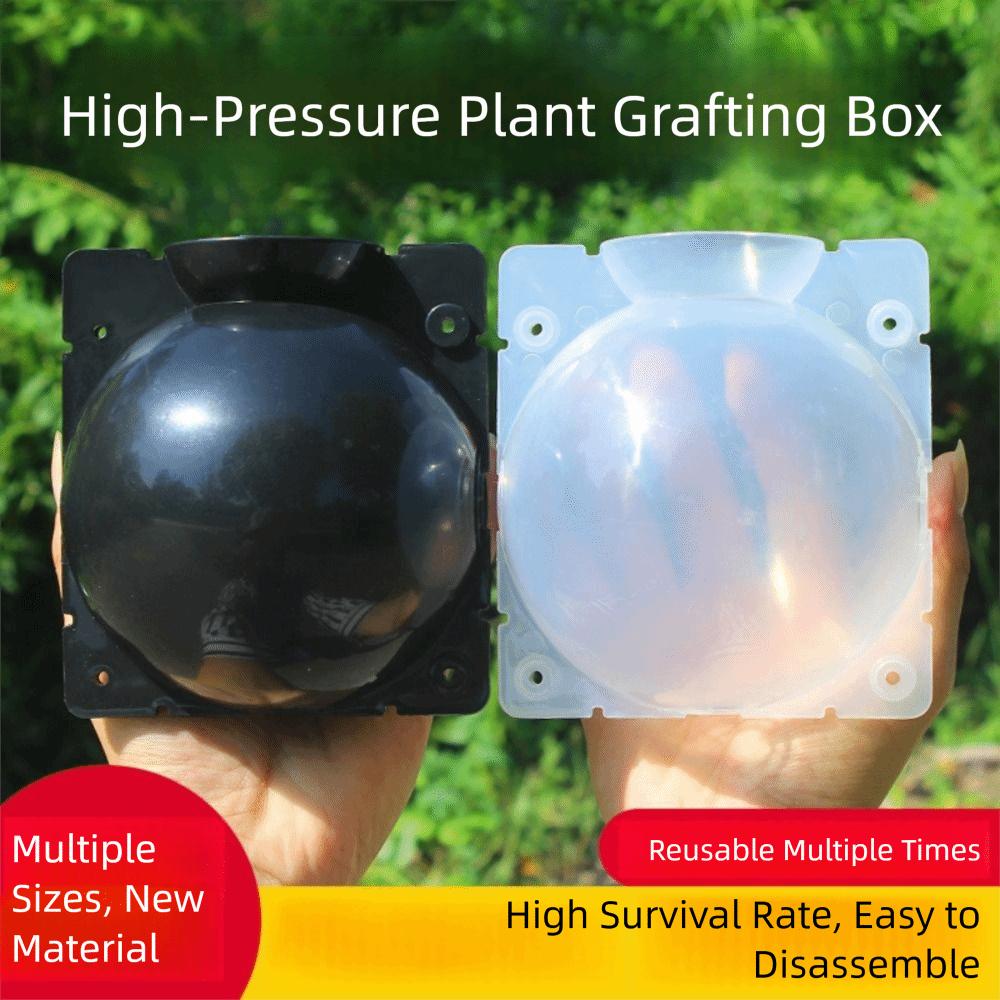 Шар для размножения Ботаника Контроллер корней Пластиковый кейс для размножения Инкубатор высокого давления Бокс для выращивания Оборудование для укоренения растений