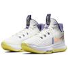 Nike LeBron Witness 5 EP Summit White Metallic Bronze Мужские кроссовки Light-Zitron CQ9381-102