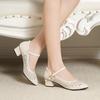 Sandals Female Mid-heeled Sandals Mesh Sandals Cave Shoes Hollow Breathable Single Shoes Thick with Soft Bottom Shoes