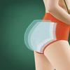 Leak Proof Menstrual Briefs Cotton Physiological Underwear Elastic Period Pants  Women