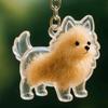 Dog Hair Storage Pendant Keychain Transparent Dog Fur Collector Pendant Souvenir Collection Gift Bag Decoration Keychain Jewelry
