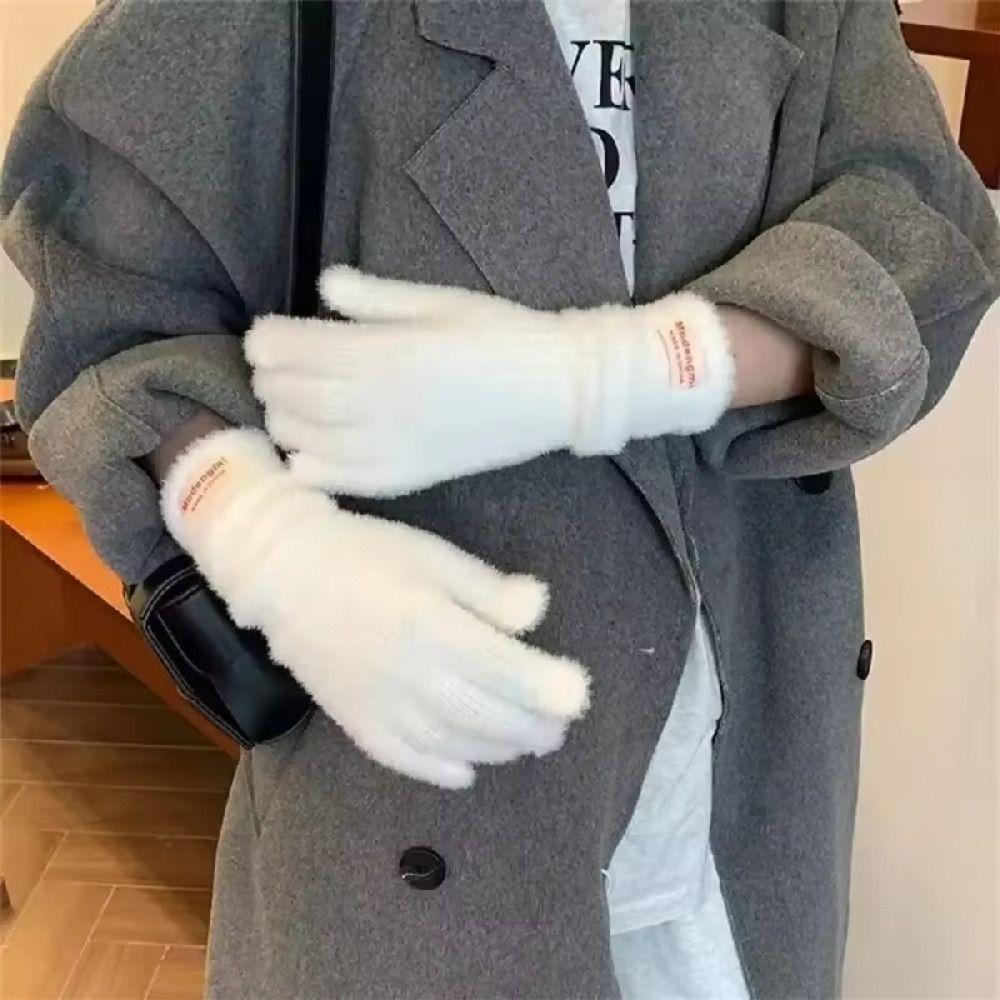 Soft Thick Winter Plush Gloves Mink Fleece Touch Screen Gloves Velvet Mittens  Winter Accessories