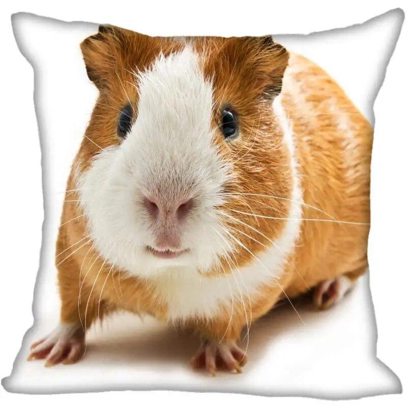 Наволочка для гостиной с морской свинкой в ​​современном доме