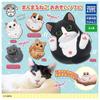 Manmaru Animal Manmaru Cat Большой мягкий винил 5 видов Gacha Gacha Capsule Игрушка [Набор (Полный Полный)]