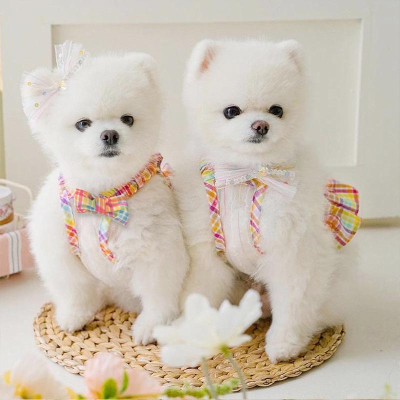 Весенне-летняя корейская версия красочной юбки-бант для чулок в стиле отпуска для собак с двумя ногами