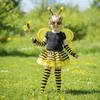 Tutu Skirt Bumblebee Costume Striped Knee Stocking Honey Bee Costume Bee Costume Set  For Women