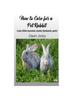 Книга How To Care For A Pet Rabbit : Cute Little Bunnies Make Fantastic Pets!