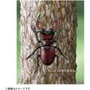 Takara Tomy Ania AS-43 Stag Beetle Animal Toy for Kids Age 3 and Up