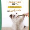 Improve Appetite Cat Toy Pet Supplies Toys Catnip Healthy Cat Snacks Sticks No Additives Cat Cleaning Teeth Clean Teeth Funny