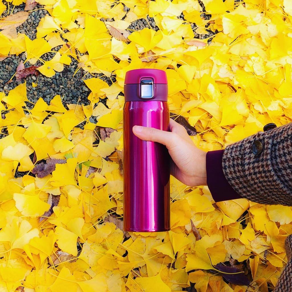 Atlas Water Cold Ultra Разобранный самый легкий класс, совместимый со спортивной грелкой, 800 мл, изолированный, с подсветкой, с пробкой, одним нажатием