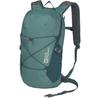 Рюкзак Jack Wolfskin Cyrox Shape 15 jade green (2020121-4156)