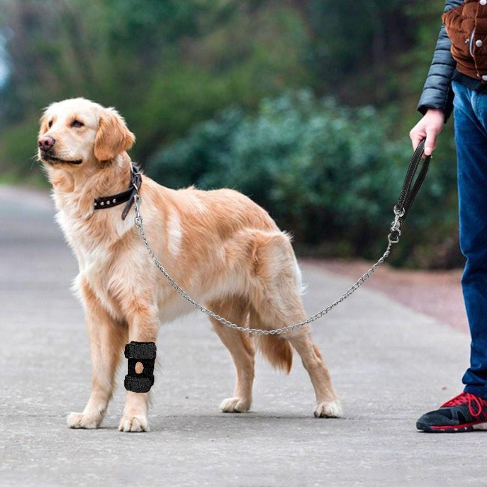 Adjustable Pet Joint Protection Covers Comfortable Breathable Dog Knee Brace Rear Leg Brace Dog Knee Pads Leg Injury Care