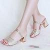 Chunky Heel Sandals Women's Summer Fashion All-match One Shoe Two Fish Mouth High Heels