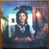 Виниловая пластинка DAVID ESSEX  All The Fun Of The Fair PC33813PROMO Columbia 1975 США Рок Б/у